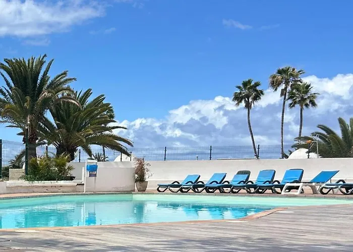 Americas Ponderosa 600 * アデヘ